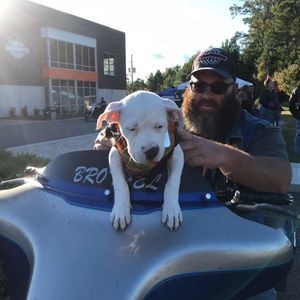 Meet your Posher, Robert